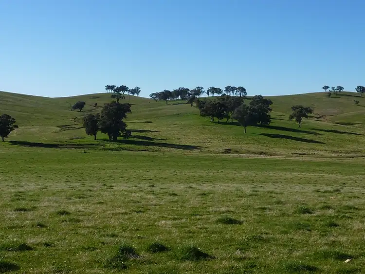 Second view of Homely rural property listing, 429 Coreinbob Siding Road, Ladysmith, Wagga Wagga NSW 2650