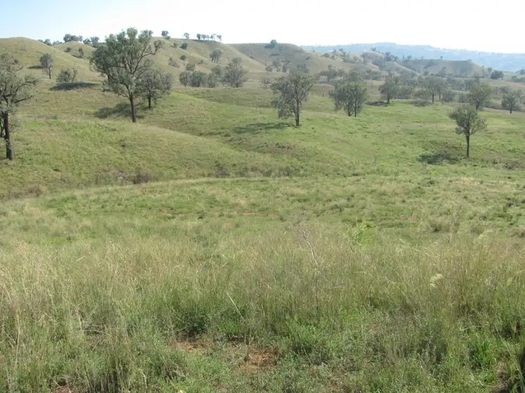 "Starrs "- 59 Bereen Road, Upper Horton NSW 2347