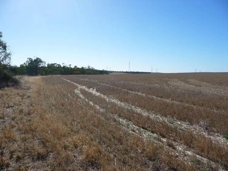 Fourth view of Homely rural property listing, Lot 103 Kulde Road, Tailem Bend SA 5260