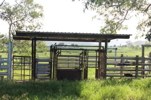 Fourth view of Homely house listing, Mt Martin Loop Road, Mount Martin QLD 4754