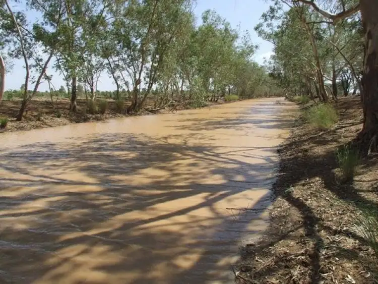 Seventh view of Homely rural property listing, 17741 Bollon Road, Bollon QLD 4488