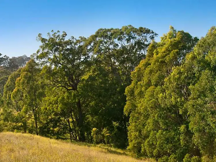 Fifth view of Homely rural property listing, Lot 16, 376 Torryburn Road, East Gresford NSW 2311