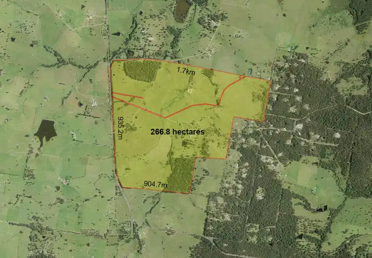 Sixth view of Homely rural property listing, 3427-3429 Princes Highway, Bergalia NSW 2537