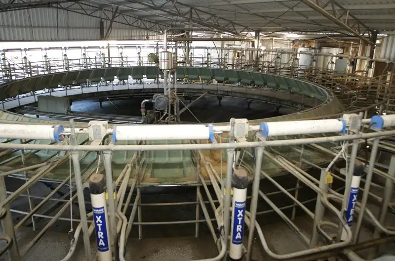 Main view of Homely rural property listing, 2419 Lavers Hill-Cobden Road, Simpson VIC 3266