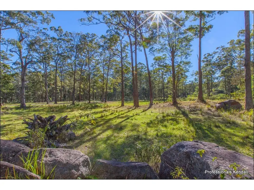 Main view of Homely land listing, 905L Main Western Road, Tamborine Mountain QLD 4272