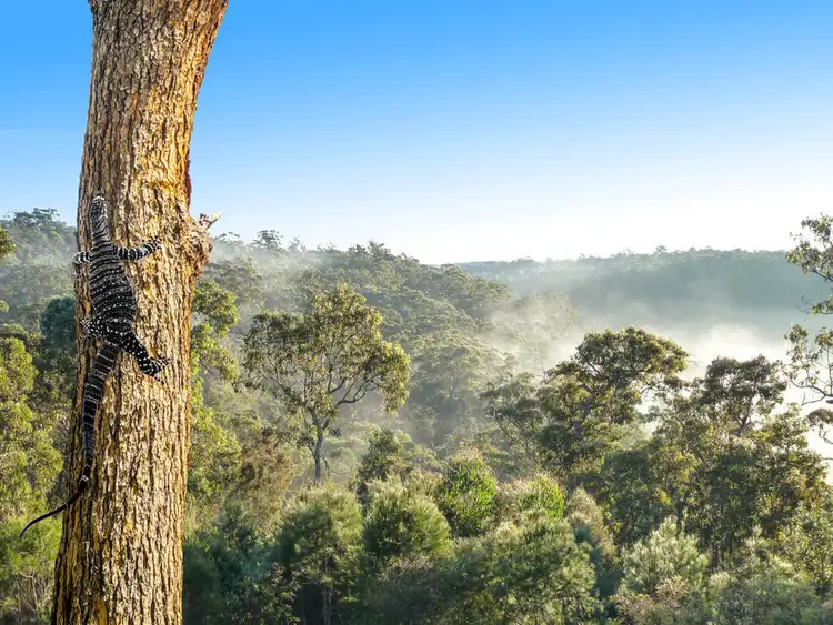 Fourth view of Homely land listing, Lot 6, 83a Cattai Ridge Road, Glenorie NSW 2157