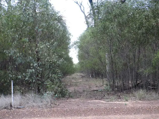 Lot 228 ORCHARD ROAD, Tara QLD 4421