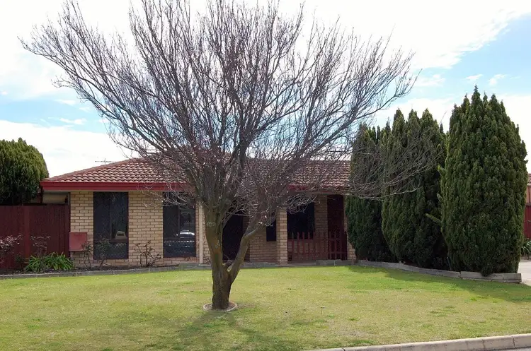 17 Amber Way, Thornlie WA 6108