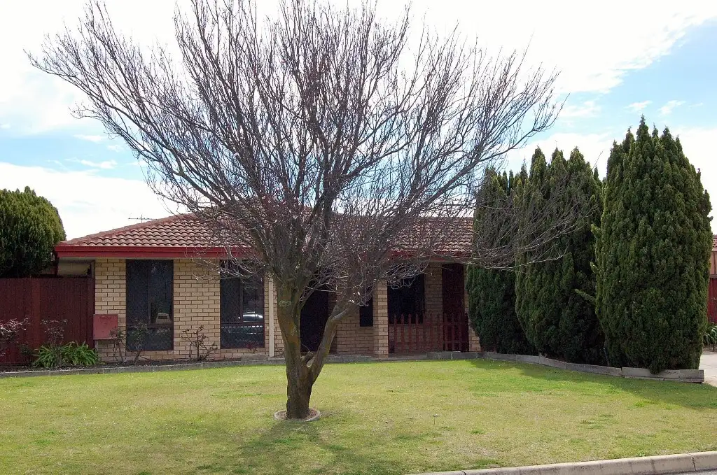 Main view of Homely house listing, 17 Amber Way, Thornlie WA 6108