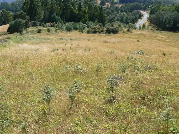 Seventh view of Homely rural property listing, Lot 1 Staverton Road, Promised Land TAS 7306