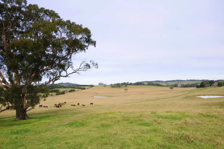 Sixth view of Homely rural property listing, 220 Yarrawa Road, Moss Vale NSW 2577