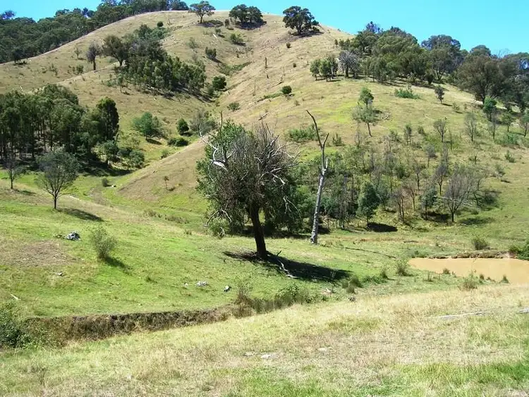 Sixth view of Homely rural property listing, Lot 1/729 U.T Creek Rd, Alexandra VIC 3714