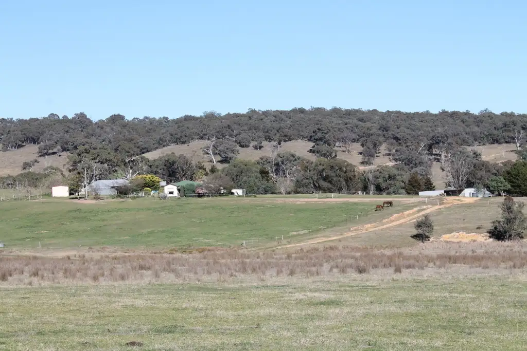 Main view of Homely rural property listing, 24 Wallawaugh Road, Mudgee NSW 2850