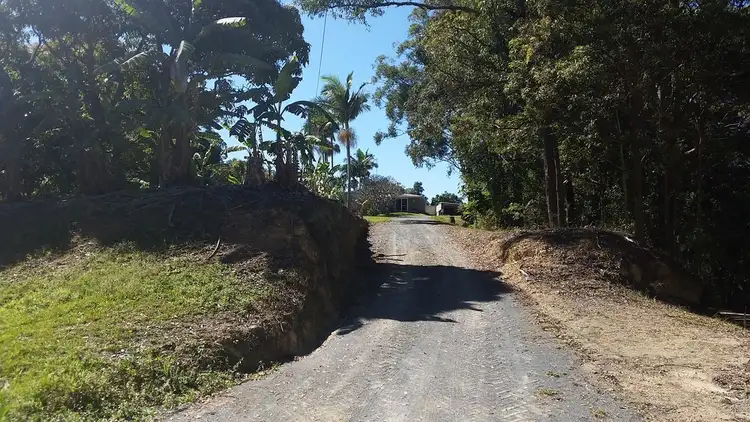 Seventh view of Homely rural property listing, 1727 Reserve Creek Road, Cudgera Creek NSW 2484