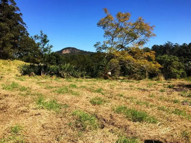 Main view of Homely land listing, 1/818 Blue Knob Road, Nimbin NSW 2480