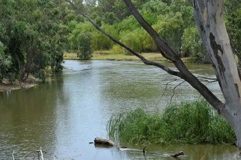 Main view of Homely rural property listing, 336 Orange Grove Rd, Gunnedah NSW 2380