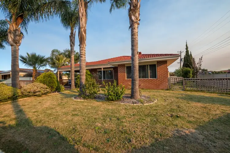 Main view of Homely house listing, 11 Spurr Street, Capel WA 6271