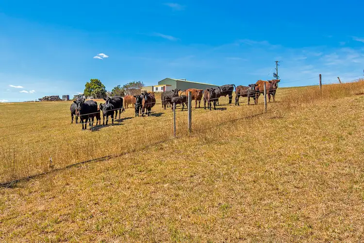 Sixth view of Homely rural property listing, 433 Cuprona Road, Cuprona TAS 7316