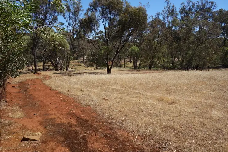 Fifth view of Homely house listing, 60 Palmer Street, Narrogin WA 6312