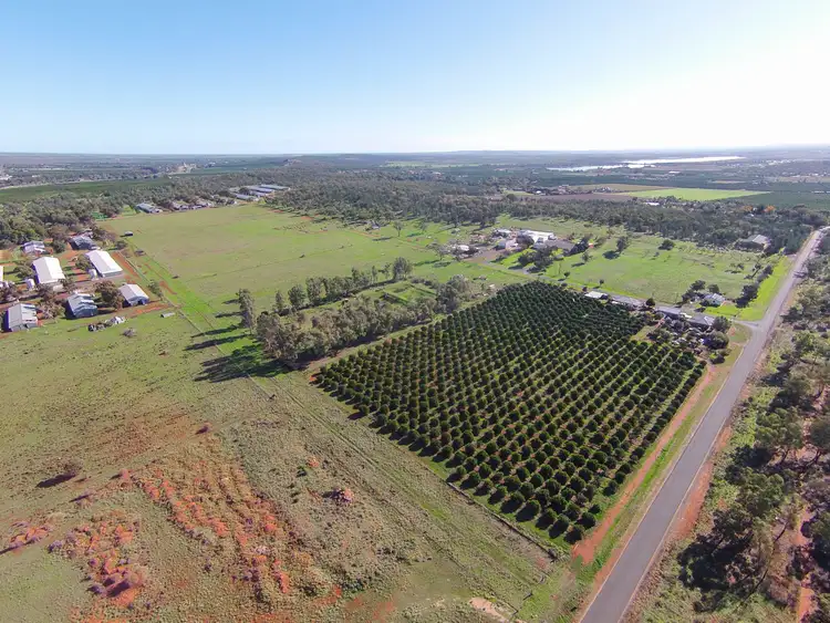 Second view of Homely land listing, Lot 953 Mitchell Lane, Griffith NSW 2680