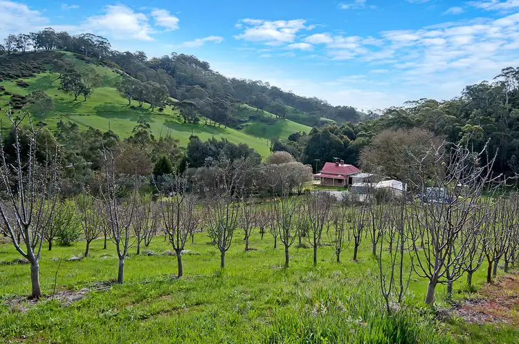 Third view of Homely rural property listing, 429 Cudlee Creek Road, Lobethal SA 5241