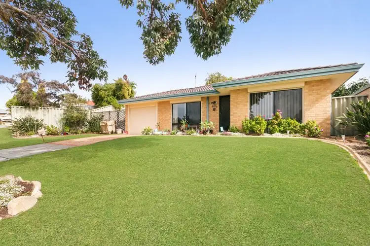 3 Ranunculus Court, Beeliar WA 6164
