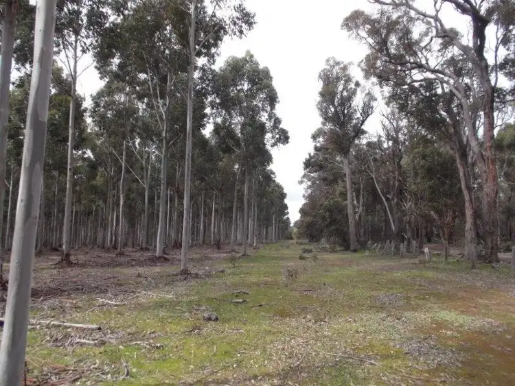 Fifth view of Homely rural property listing, LOT 2718 Ashley Road, Manjimup WA 6258