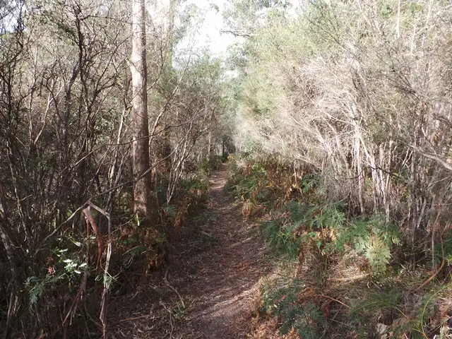 Fifth view of Homely land listing, Lot 14 Panatana Drive, Port Sorell TAS 7307