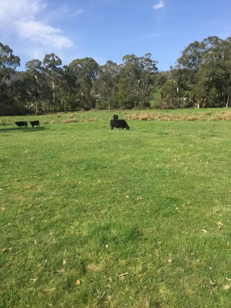 Third view of Homely rural property listing, 1187 Murrindindi Road, Murrindindi VIC 3717