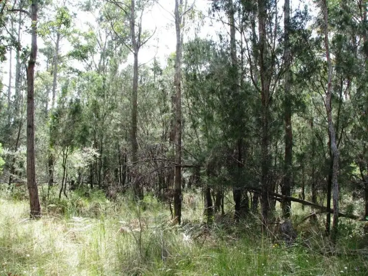 Third view of Homely rural property listing, 4661 Princes Highway, Orbost VIC 3888