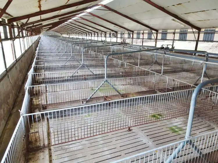 Sixth view of Homely rural property listing, Narrogin Piggery, 394 Narrakine Rd, Narrogin WA 6312