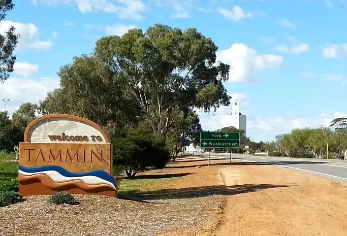 Main view of Homely land listing, 5 Ridley St, Tammin WA 6409