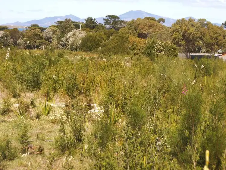 5 Barr Street, Lady Barron, Flinders Island TAS 7255