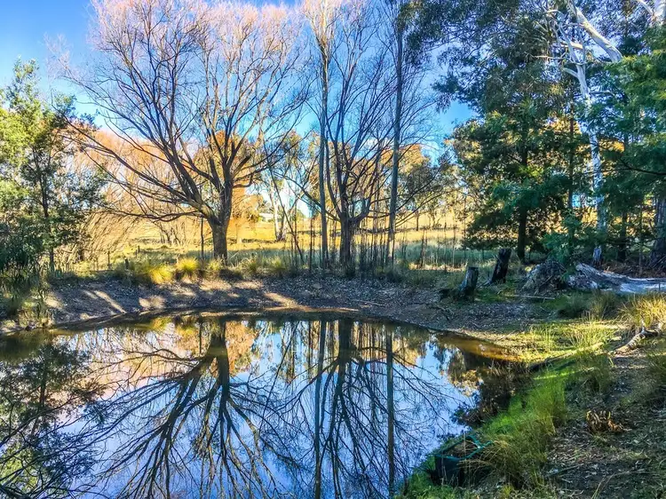 Third view of Homely rural property listing, 3637 Hill End Road, Mudgee, Mudgee NSW 2850