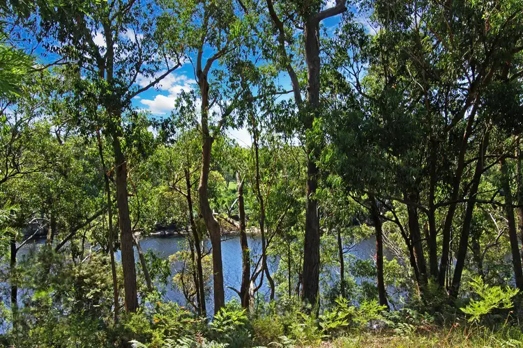 Fifth view of Homely house listing, 511 Wild Pig Road, Benandarah NSW 2536