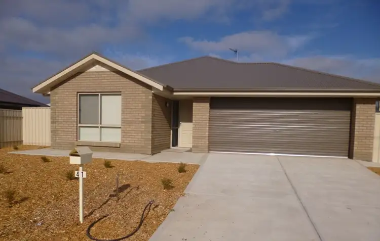 Main view of Homely house listing, 41 McRitchie Crescent, Whyalla SA 5600