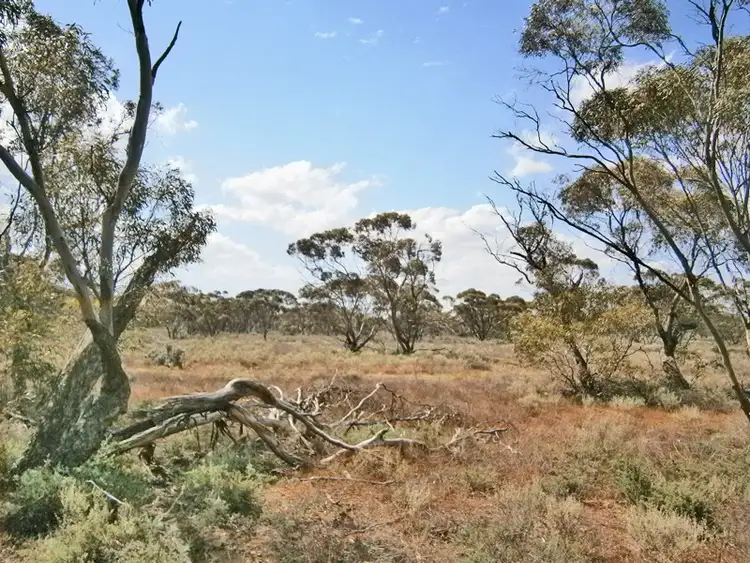 Second view of Homely rural property listing, 13 Sturt highway, Blanchetown SA 5357
