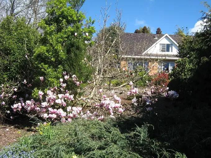 Third view of Homely rural property listing, 52 Wilmot Road, Forth TAS 7310