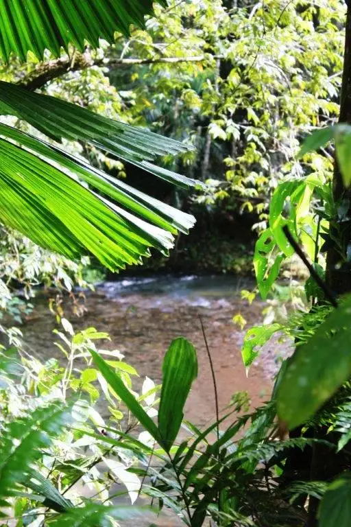 Third view of Homely house listing, Lot 324 1547R Cape Trib Road COW BAY, Daintree QLD 4873