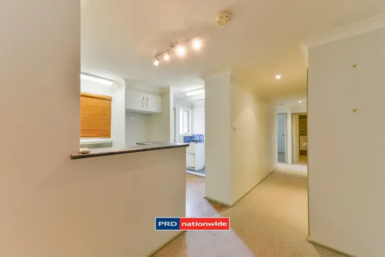 Seventh view of Homely house listing, 56 Quinn Street, Tamworth NSW 2340