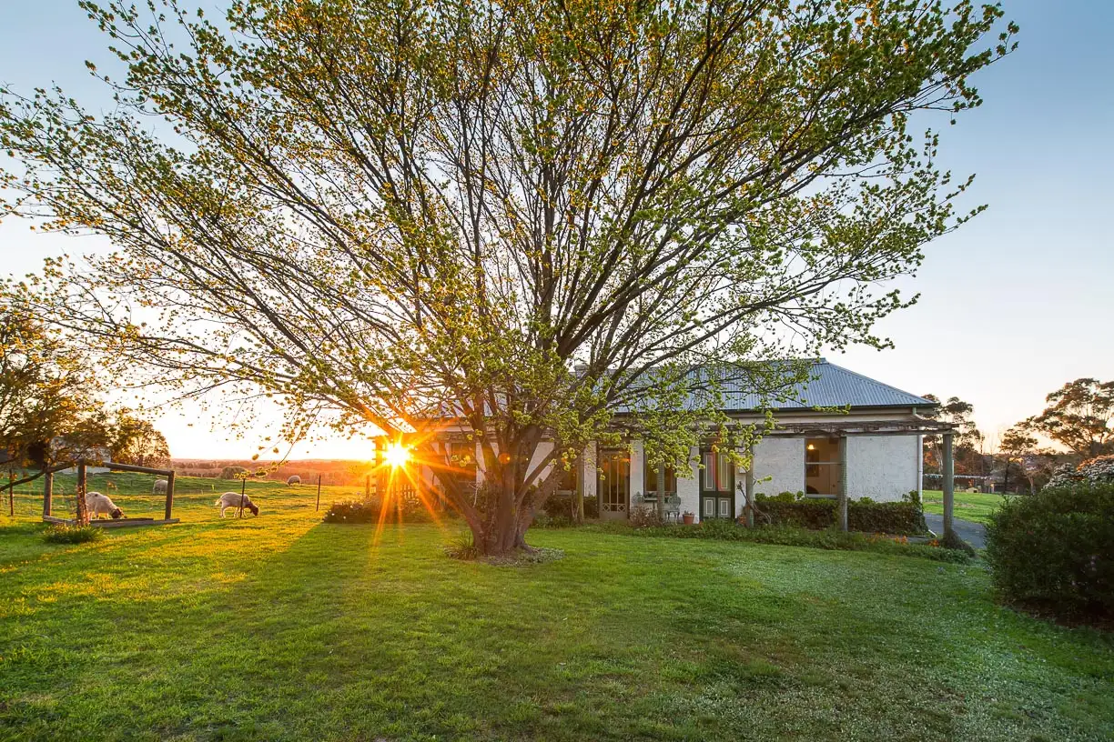 Main view of Homely house listing, 243 Aubreys Road, Magpie VIC 3352