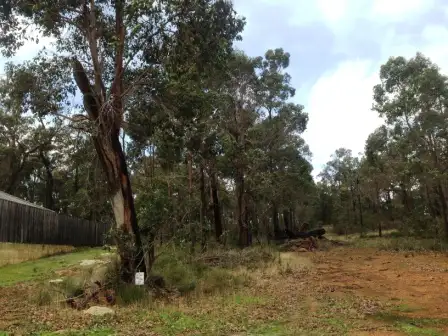 Second view of Homely land listing, 14 (Lot 59) Timber Court, Cowaramup WA 6284