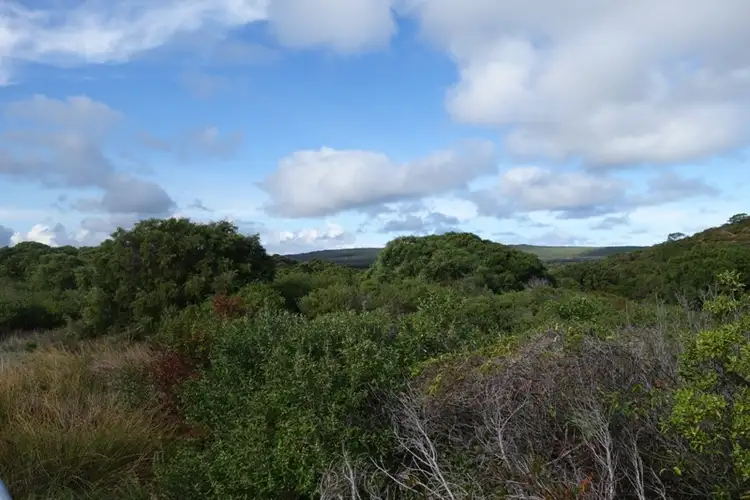 Main view of Homely rural property listing, Lot 29 Caves Road, Deepdene WA 6290