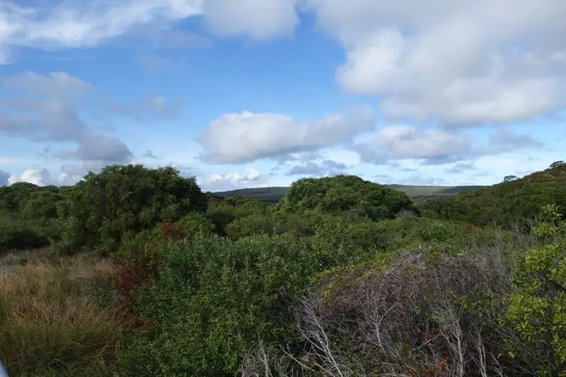 Main view of Homely rural property listing, Lot 29 Caves Road, Deepdene WA 6290