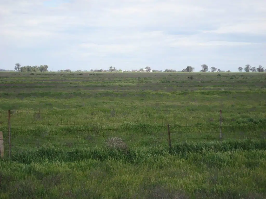 Main view of Homely rural property listing, Farms 86F, 86G, 86H & 86I Hulong Road, Whitton NSW 2705