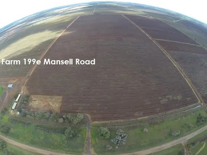 Main view of Homely rural property listing, 199E Mansell Road, Hanwood NSW 2680