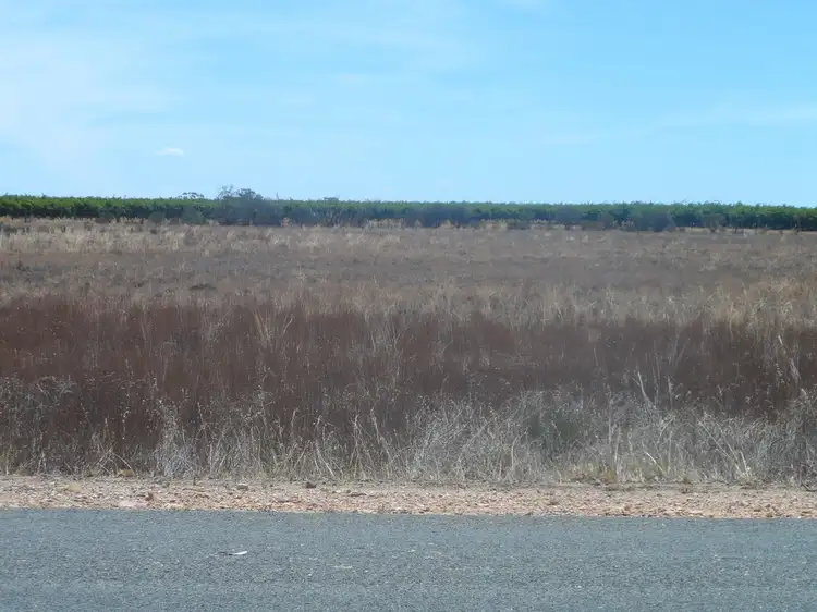 Third view of Homely land listing, Sec 434 Anderson Road, Loxton North SA 5333