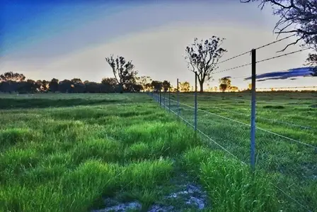 Fifth view of Homely land listing, Lot 10 Sturt Highway, Gillenbah, Narrandera NSW 2700