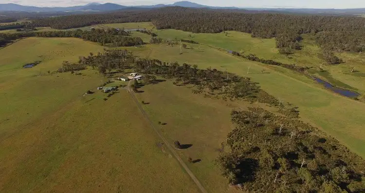 Fourth view of Homely rural property listing, 1791 Bridport Road, Bridport TAS 7262