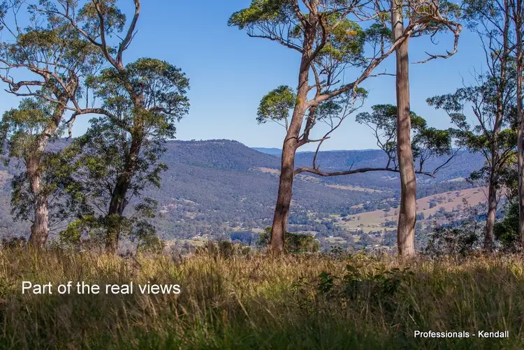 Seventh view of Homely land listing, 905A Main Western Road, Tamborine Mountain QLD 4272
